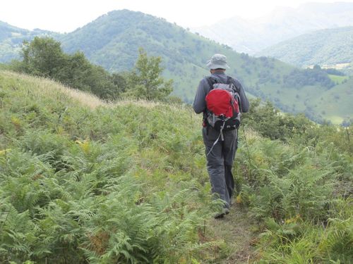 Pays basque français. Vallée d'Ossès4