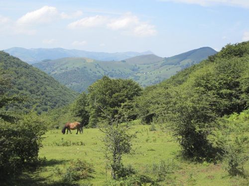Pays basque français22