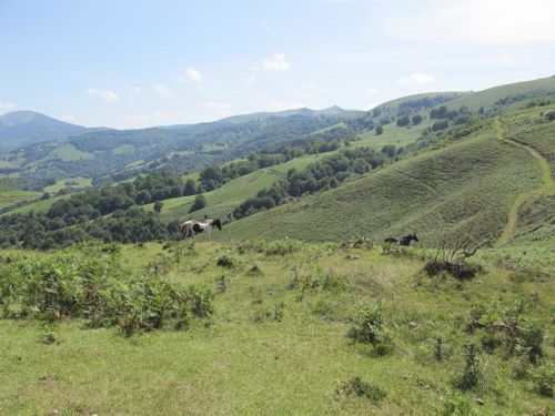 Pays basque français25