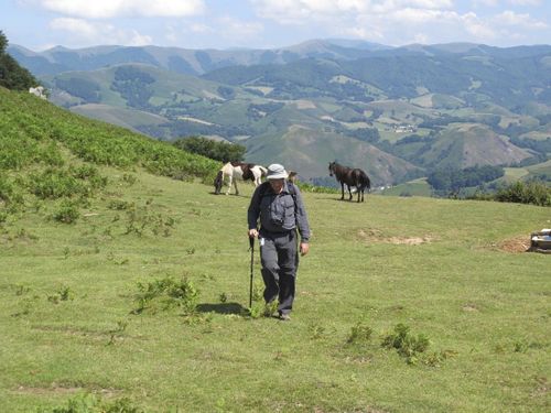 Pays basque français26