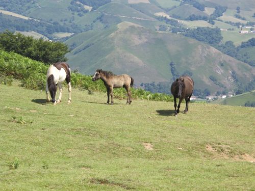 Pays basque français27