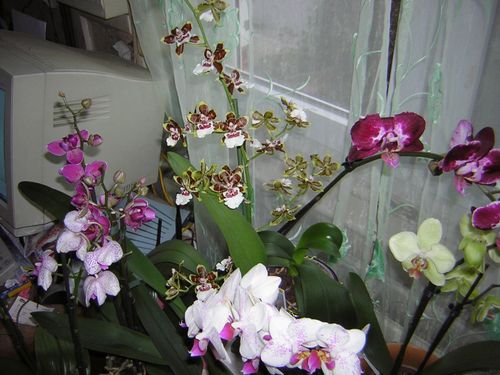 DSCN4909.JPG