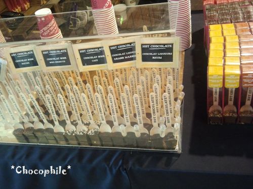 saloncho2012 (5)