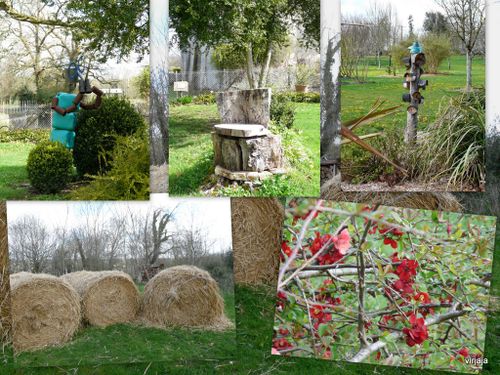 neuvic - jardin botanique