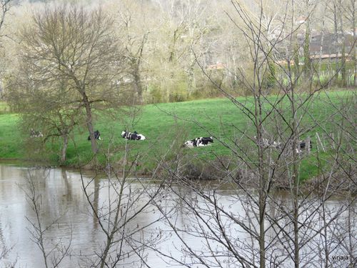 neuvic - jardin botanique