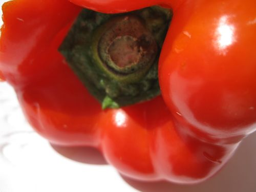 Poivron rouge (16)
