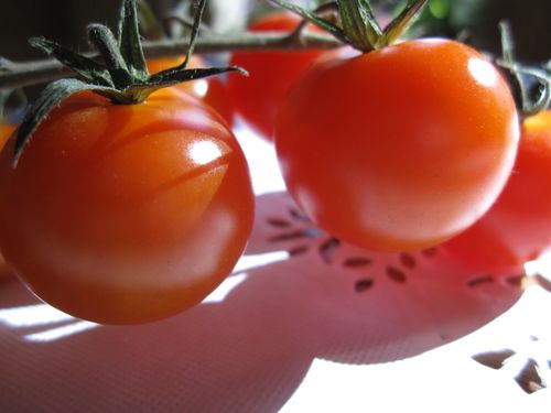 images2_1796.jpg