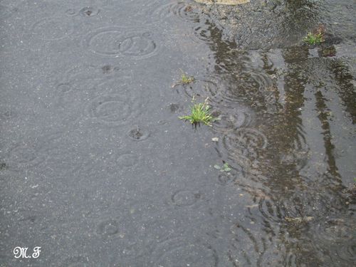 Ciel 07-06-10 (1)