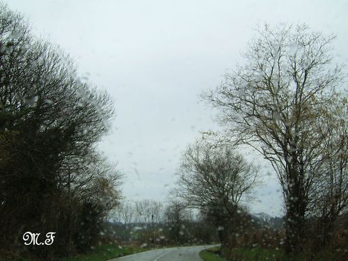Ciel du 01-03-2010