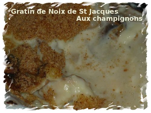 gartin-de-noix-de-st-jacques-aux-champignons.jpg