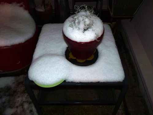 neige1