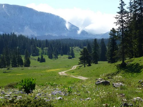 traversée des hauts plateaux 02