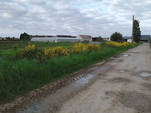 haie-genet-2013.jpg