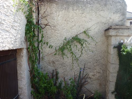 P1040562