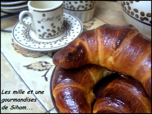 cuisine 508