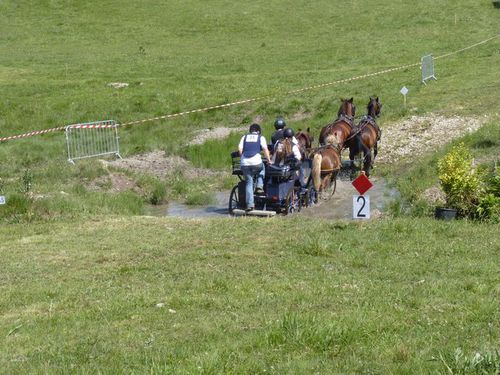 P1020269.JPG