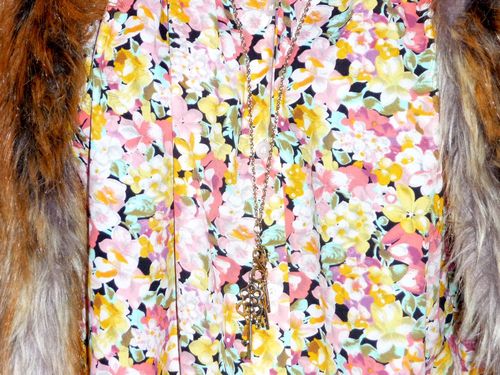des fleurs en hiver 5