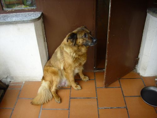 Luna 14 giu 2011
