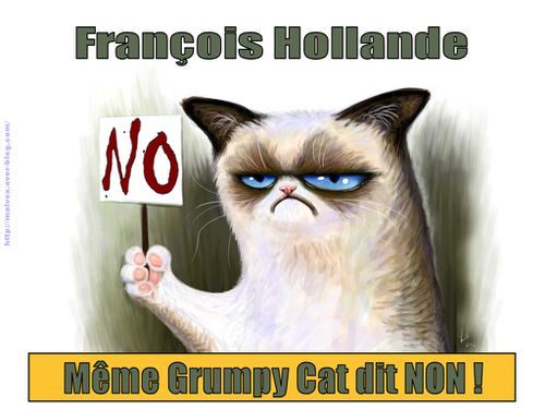 Grumpy Cat - françois hollande