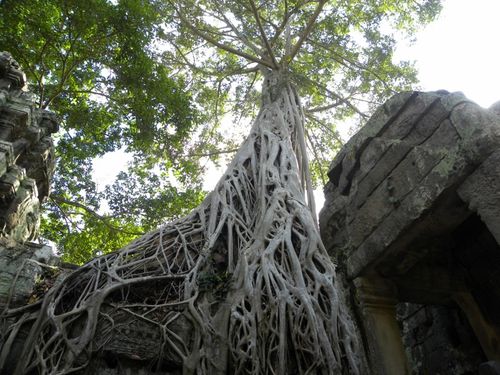 Angkor 07