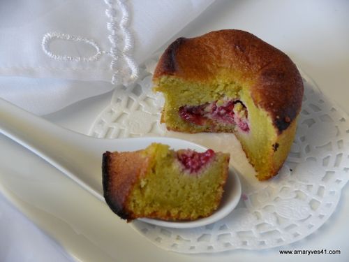 Magret - moelleux pistache 013
