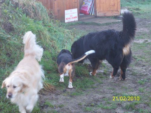 Photo2 004