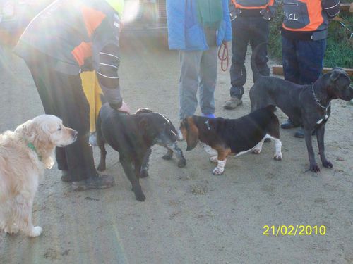 Photo2 0100