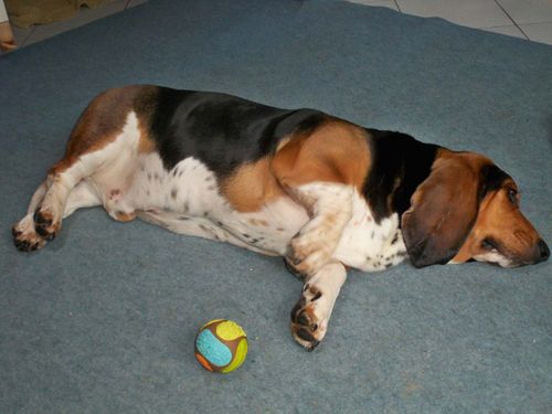Photo 004