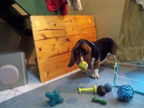 Photo 006