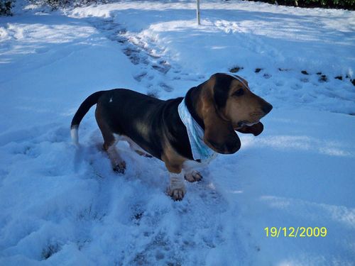 Photo 011