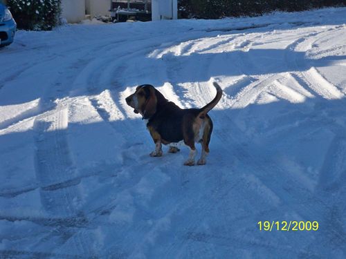 Photo 012
