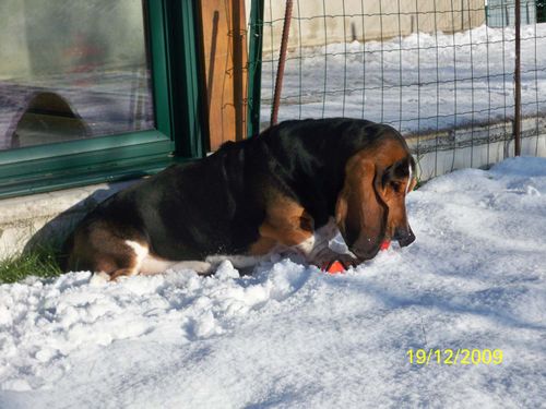 Photo 014