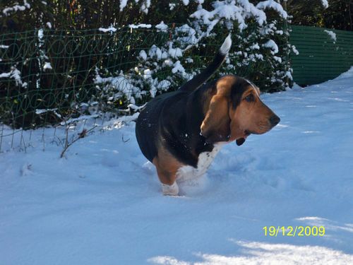 Photo 016