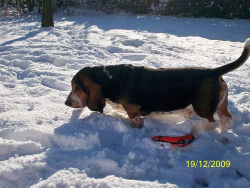 Photo 017
