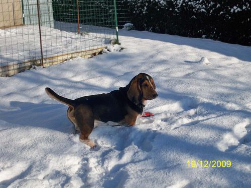 Photo 018