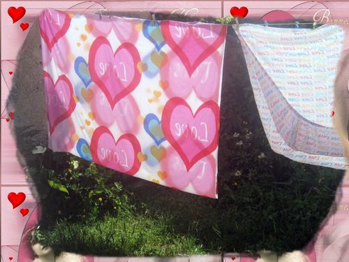 Printemps-2010 0027