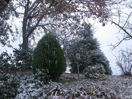 Butte neige 3-border