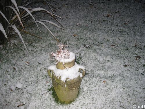 amphore sous la neige-border