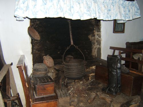 DSCF8428