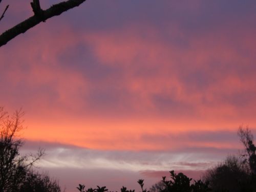 DSCF5496