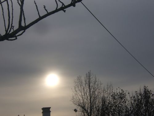 DSCF5498