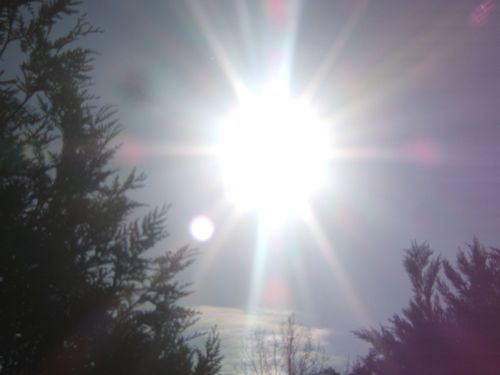 DSCF5528