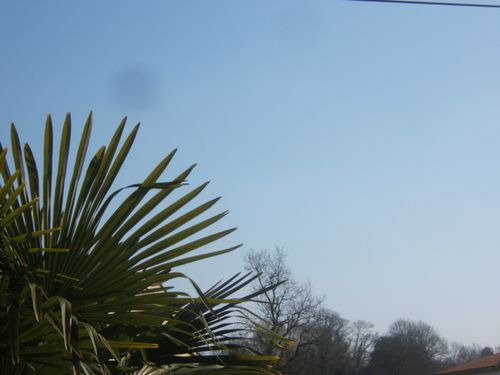 DSCF5592
