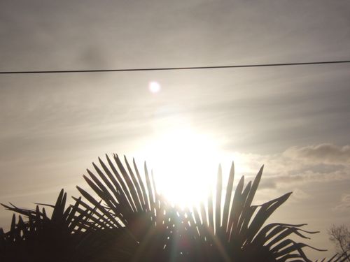 DSCF5604