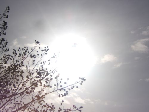 DSCF5605