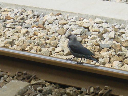 Unknown055420