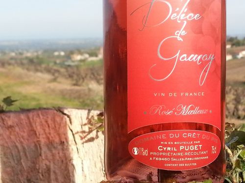 delice de gamay
