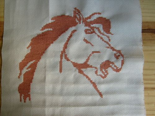 le sexe de cheval le deuxieme sexe le sexe de cheval le deuxieme sexe