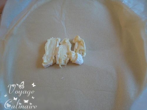 brickpommecamembert1.JPG