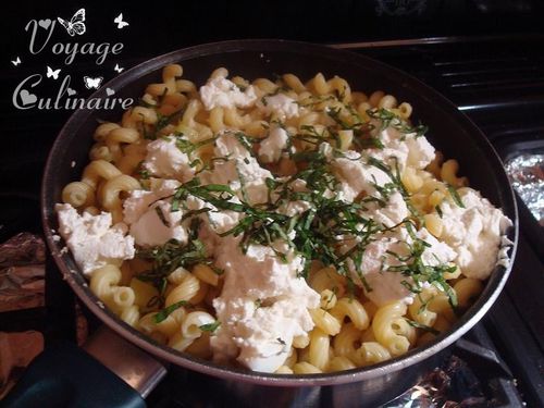 serpentinicourgettesricotta3.JPG